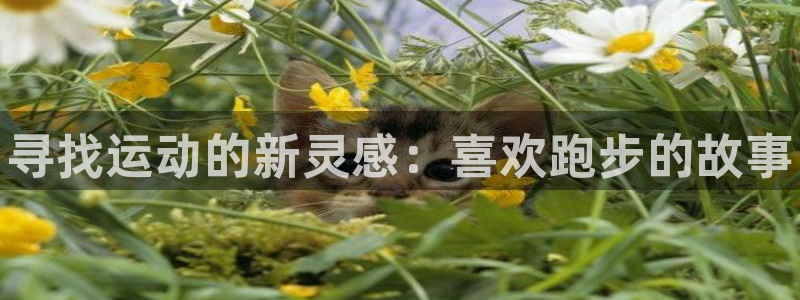 vsport体育官网下载平台注册流程视频:寻找运动的新灵感: