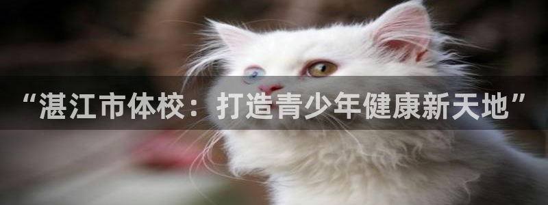 vsport体育官网下载平台注册流程视频:“湛江市体校:打造