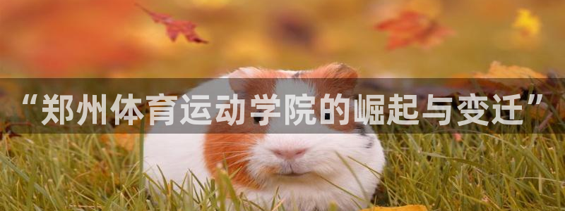 vsport体育官网下载招商电话是多少号码:“郑州体育运动学