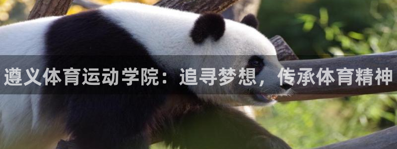 vsport体育官方正版app官方:遵义体育运动学院:追寻梦