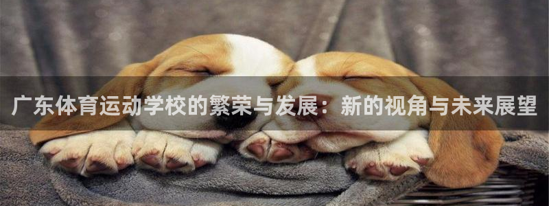海南vsport体育官网下载发展怎么样:广东体育运动学校的繁
