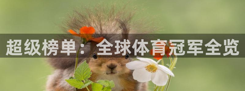 vsport体育官网下载:超级榜单:全球体育冠军全览